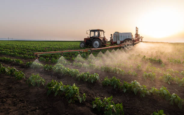 Best Pest Control Cost  in Bellwood, PA
