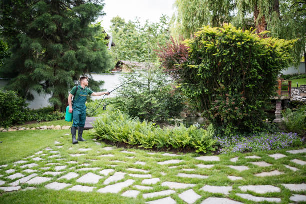 Best Local Pest Control Services  in Bellwood, PA
