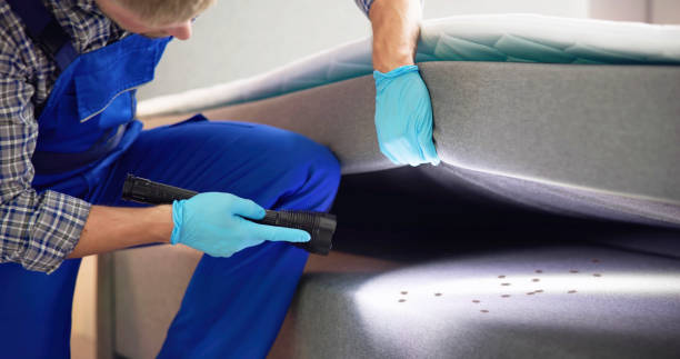 Best Exterminator Services  in Bellwood, PA