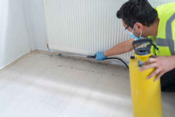 Best Pest Prevention Services  in Bellwood, PA